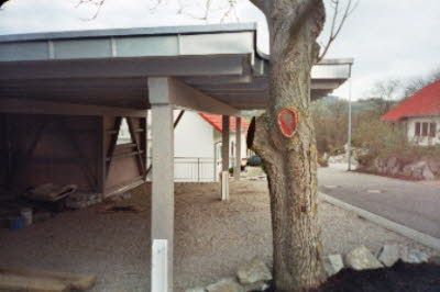 Nahaufnahme Carportanlage
